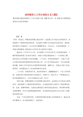 试用期员工工作计划范文