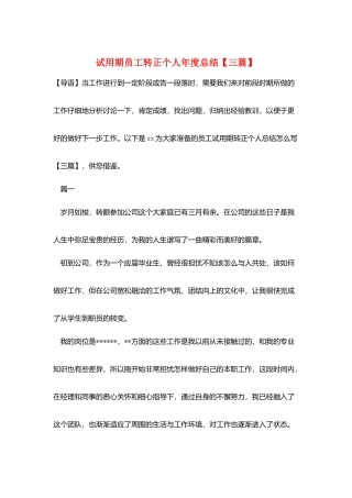 试用期员工转正个人年度总结