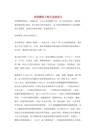 试用期员工转正总结范文