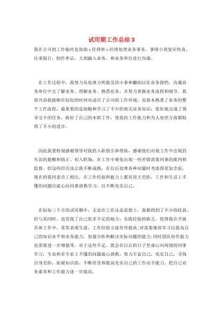 试用期工作总结3