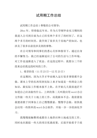 试用期工作总结