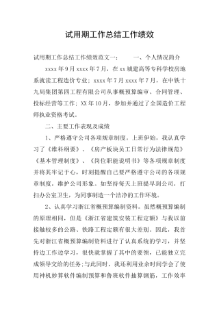 试用期工作总结工作绩效