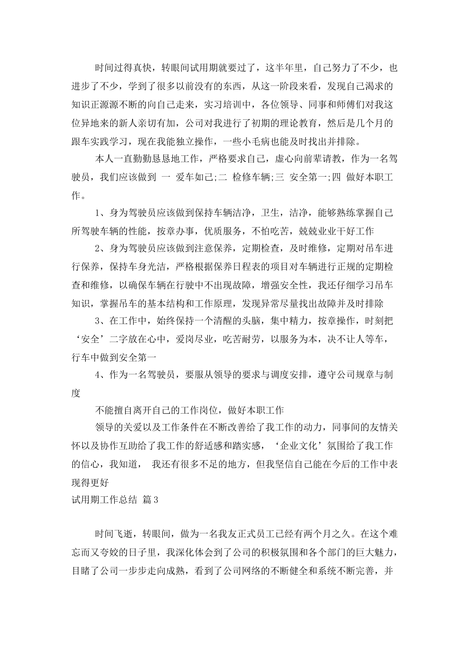 试用期工作总结4篇_第3页