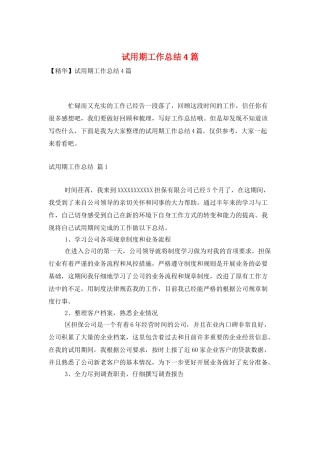 试用期工作总结4篇