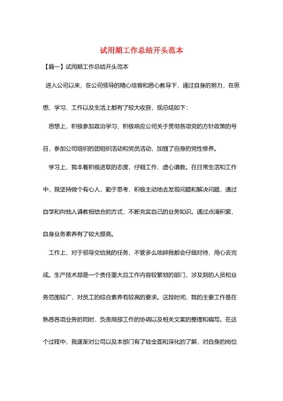 试用期工作总结开头范本