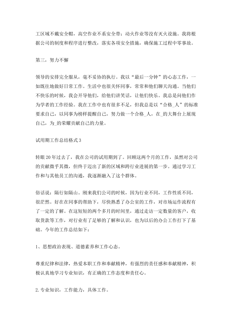 试用期工作总结格式_第3页