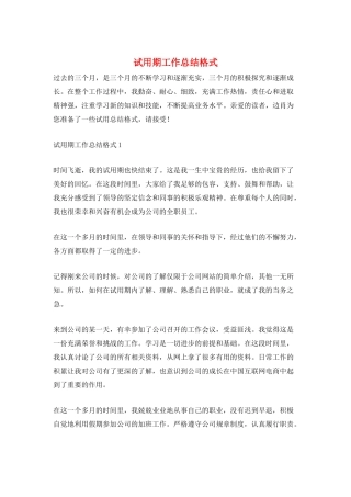 试用期工作总结格式
