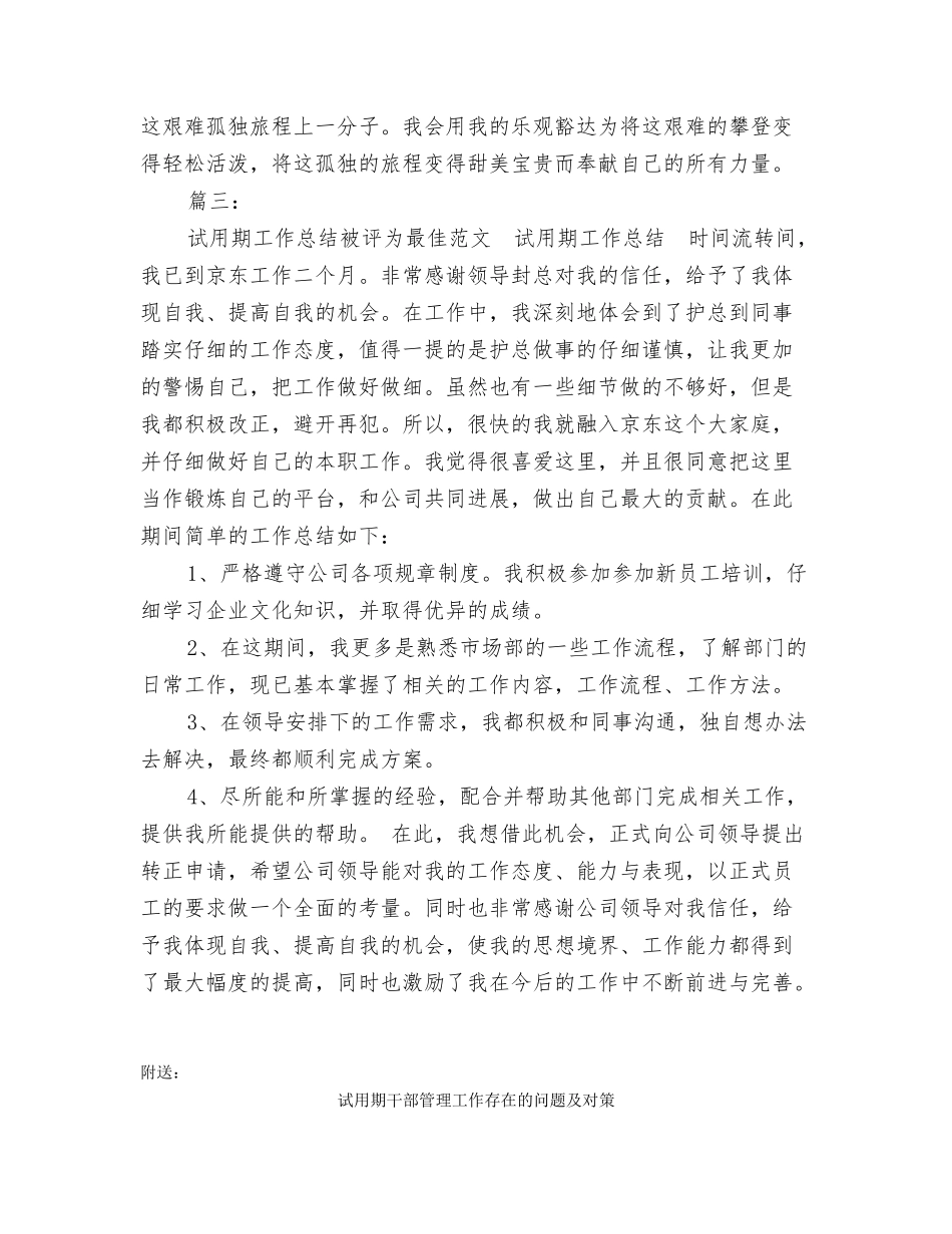 试用期工作总结范文_第2页