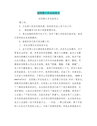 试用期工作总结范文