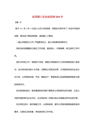 试用期工作总结范例500字