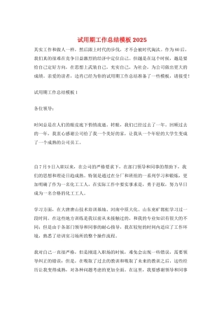 试用期工作总结模板2025