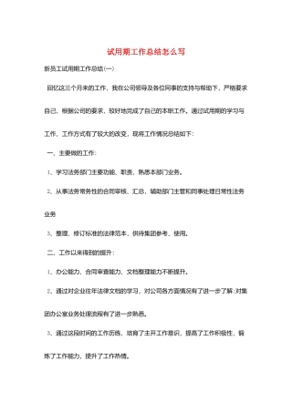 试用期工作总结怎么写