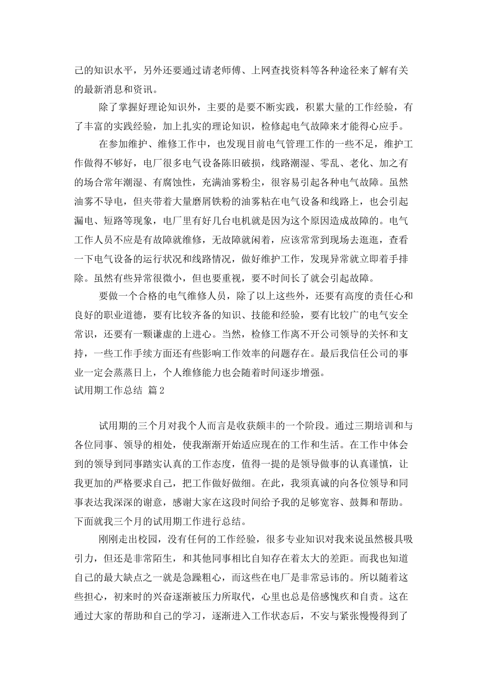 试用期工作总结模板汇总六篇_第2页