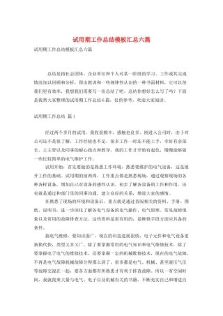 试用期工作总结模板汇总六篇