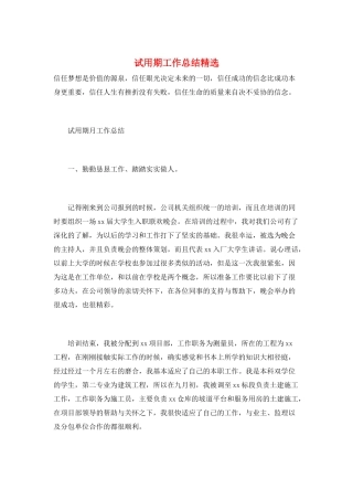 试用期工作总结精选