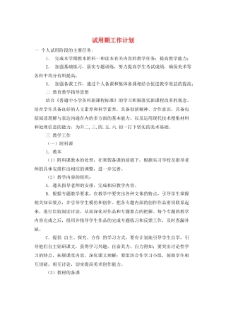 试用期工作计划