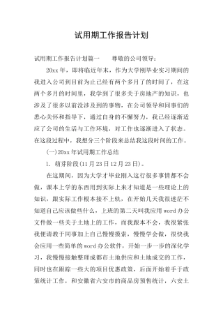 试用期工作报告计划