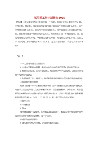 试用期工作计划报告2025