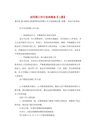 试用期工作计划表精选