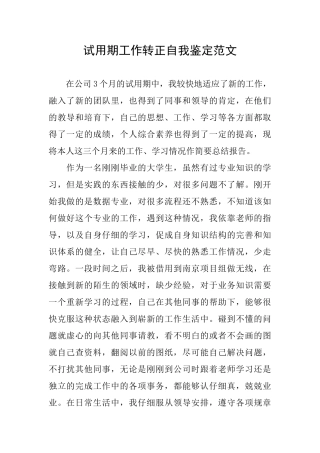 试用期工作转正自我鉴定范文