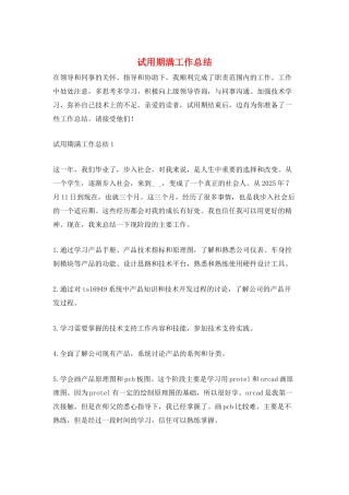 试用期满工作总结