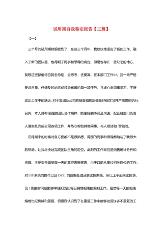 试用期自我鉴定报告