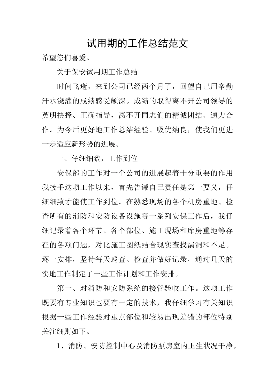 试用期的工作总结范文_第1页