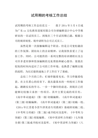 试用期的考核工作总结