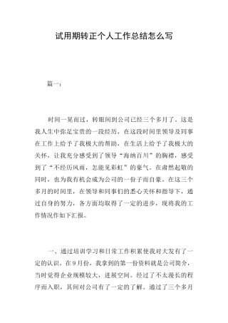 试用期转正个人工作总结怎么写