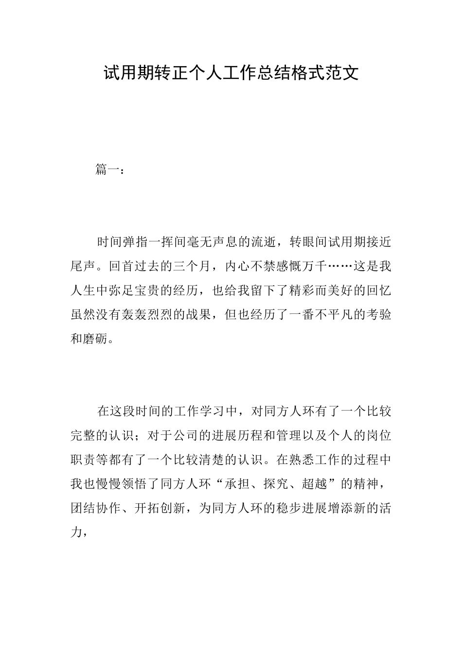 试用期转正个人工作总结格式范文_第1页