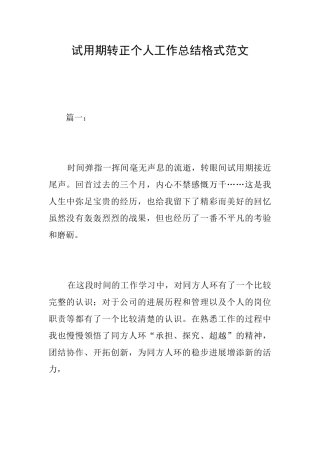 试用期转正个人工作总结格式范文