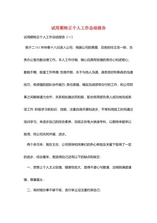 试用期转正个人工作总结报告