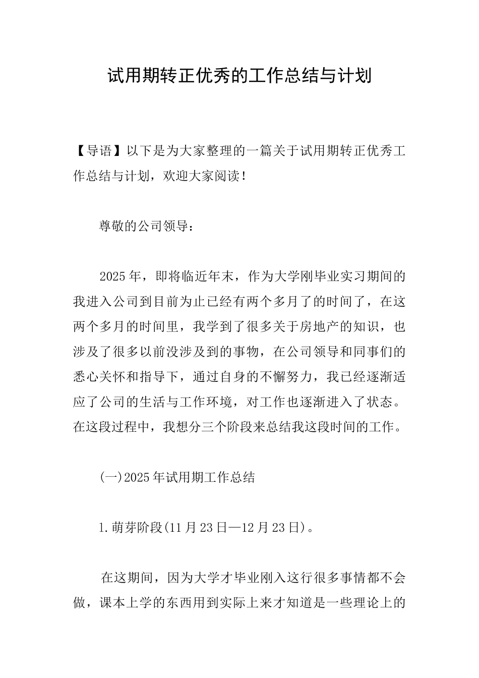 试用期转正优秀的工作总结与计划_第1页