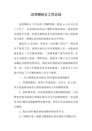 试用期转正工作总结