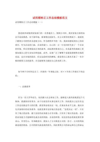 试用期转正工作总结模板范文