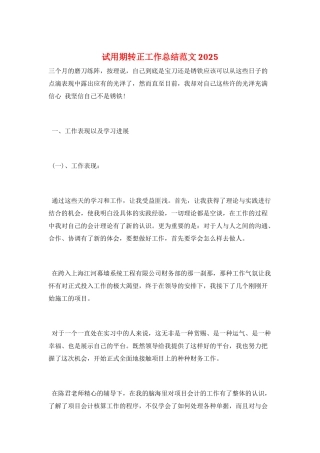 试用期转正工作总结范文2025