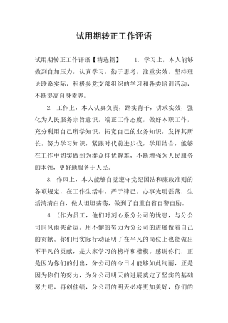 试用期转正工作评语
