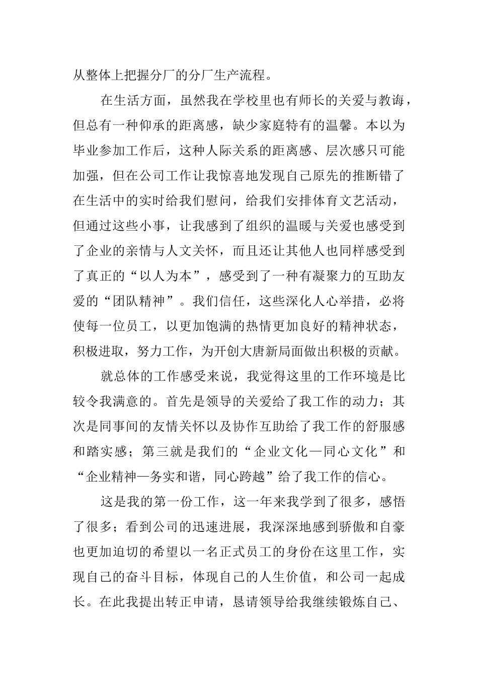 试用期转正申请工作总结_第2页