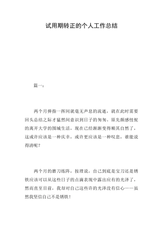 试用期转正的个人工作总结