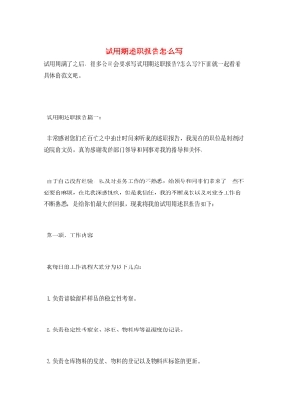 试用期述职报告怎么写
