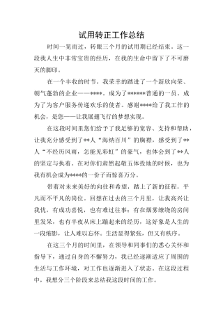 试用转正工作总结