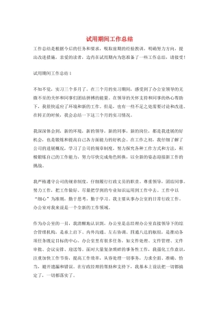 试用期间工作总结