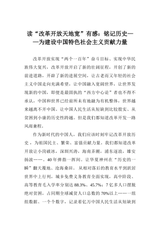 读“改革开放天地宽”有感：铭记历史——为建设中国特色社会主义贡献力量
