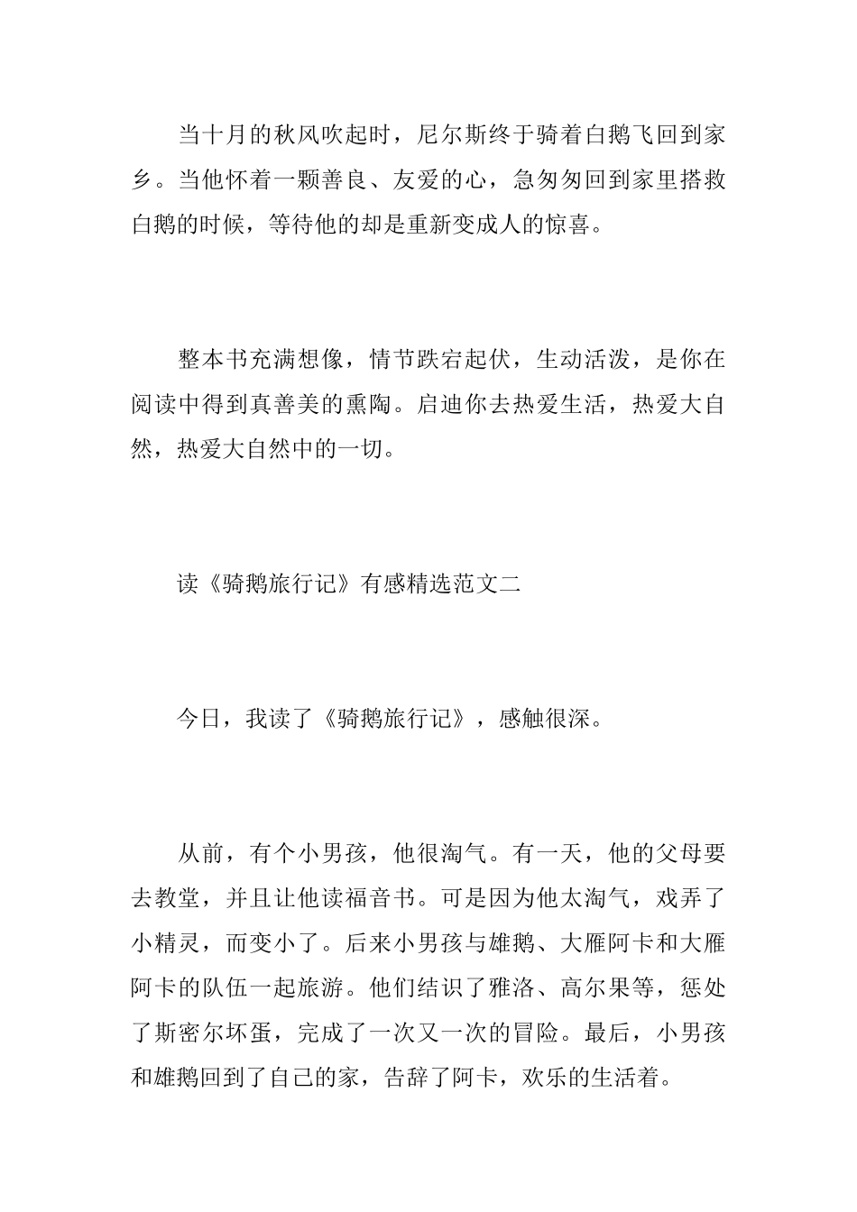 读《骑鹅旅行记》有感精选范文_第2页