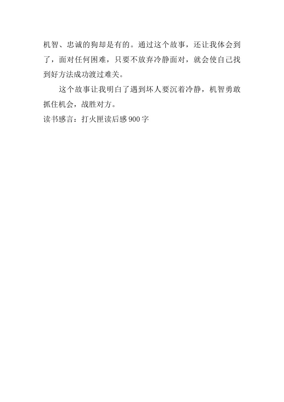 读书感言：打火匣读后感900字_第2页