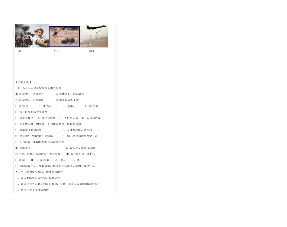 陕西省西安市庆安高级中学高中政治 和平与发展时代的主题复习导学案 新人教版必修2_第3页