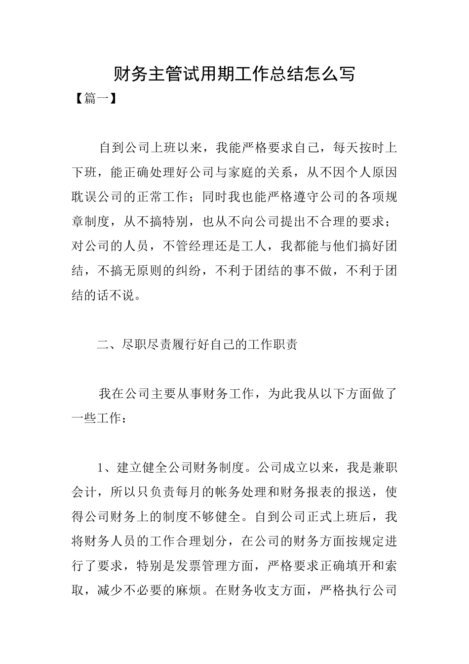 财务主管试用期工作总结怎么写_第1页