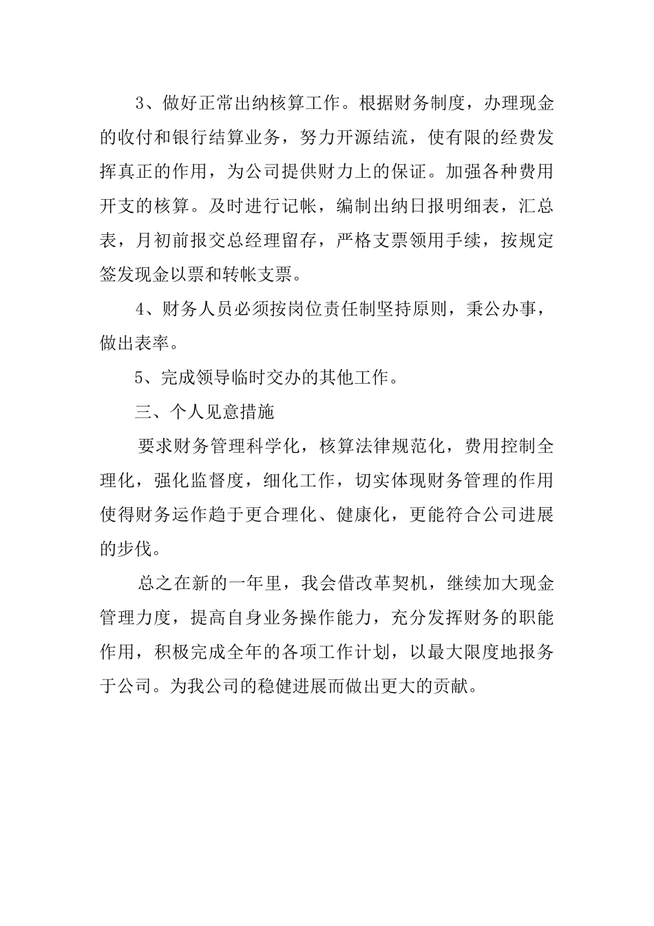 财务人员简洁的年度工作计划_第2页