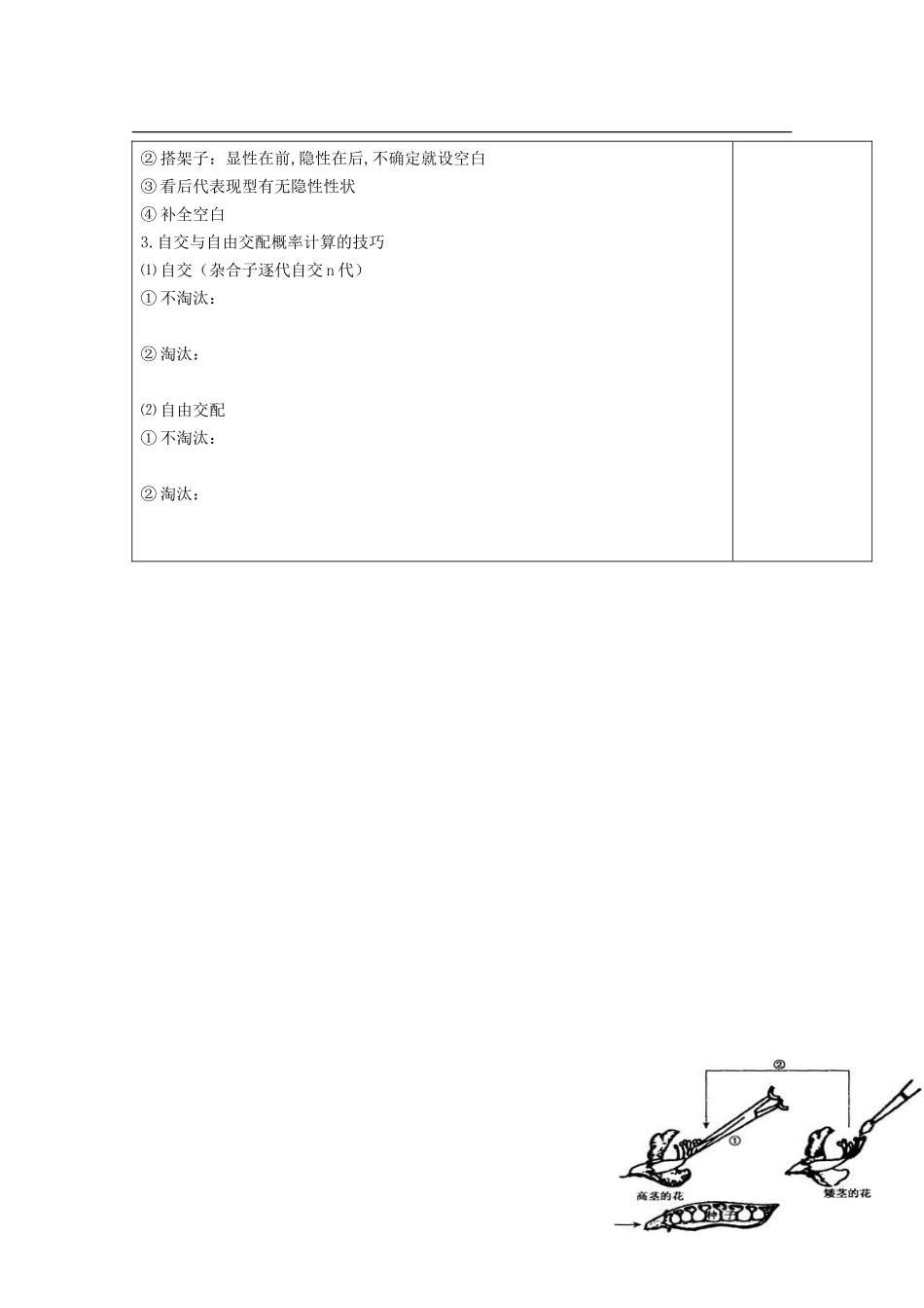 陕西省西安市庆安中学2014高中生物 1.1分离定律导学案 新人教版必修2_第3页
