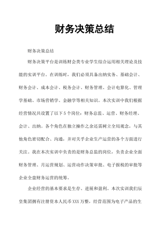 财务决策总结